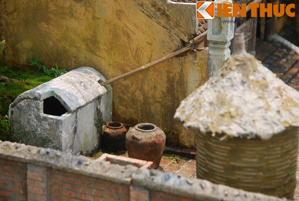 Tieu canh tu bonsai dep me hon cua nghe nhan Hai Phong-Hinh-5